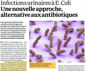 Infections_urinaires_a_repetition-Vincent-Hupertan-Quotidien du médecin