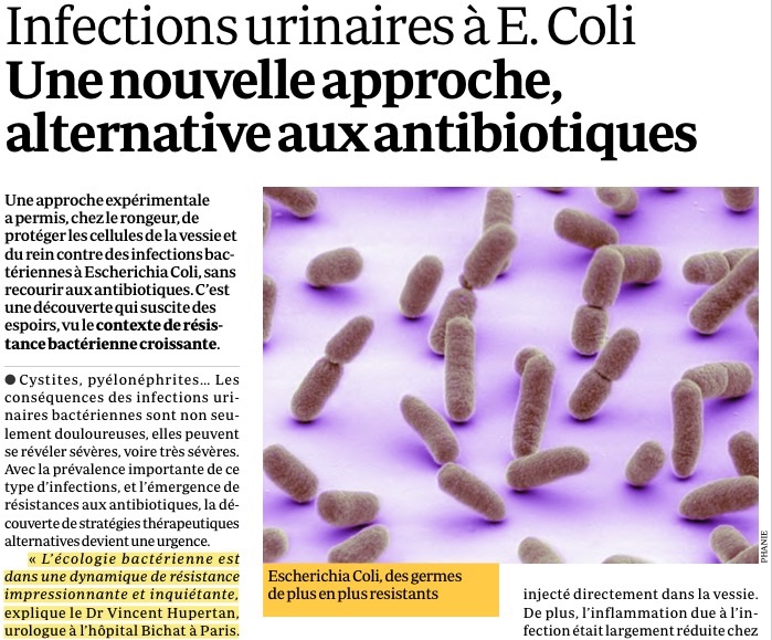 https://uroblog.net/wp-content/uploads/2015/05/infections_urinaires-c3a0-rc3a9petition-quotidien-du-mc3a9decin-vincent-hupertan.pdf