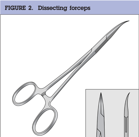 Dissecting-forceps-Li-vasectomy-no-scalpel-vasectomy-pince-vasectomie-sans-bistouri-Hupertan-specialiste-vasectomie